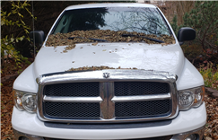 2003 Dodge Ram Pickup | 1500